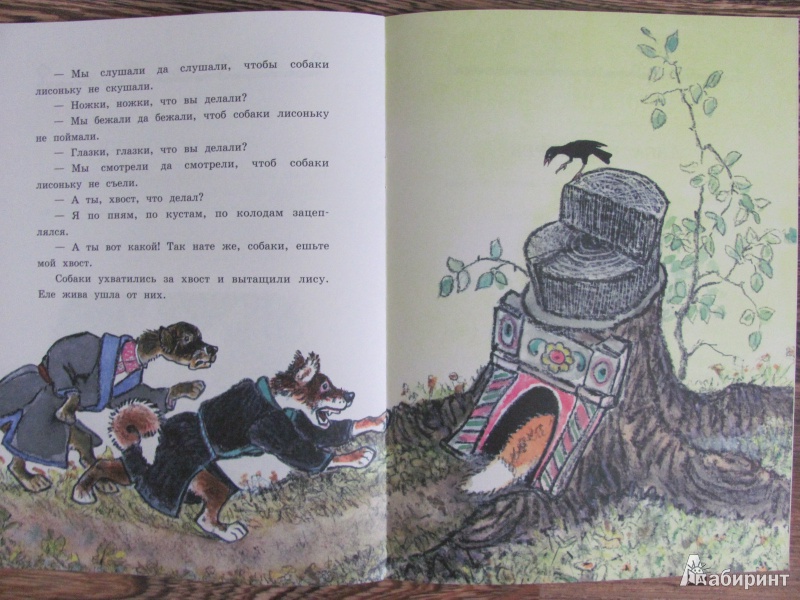 Иллюстрация 32 из 37 для Заюшкина избушка | Лабиринт - книги. Источник: Гончарова  Виктория Александровна