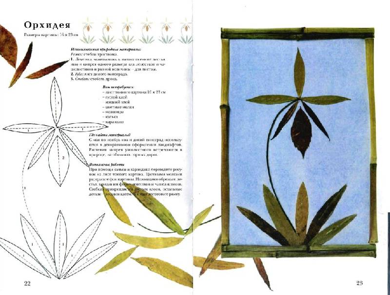 Иллюстрация 6 из 17 для Картины из цветов и листьев - Патрик Захарюк | Лабиринт - книги. Источник: Юта
