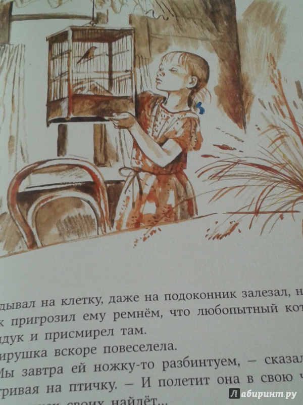 Иллюстрация 57 из 68 для Мой дедушка - егерь - Юрий Грибов | Лабиринт - книги. Источник: Написатель