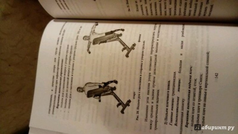 Иллюстрация 3 из 5 для Реабилитация при болях в спине средствами силовой тренировки. Монография - Дмитрий Бурмистров | Лабиринт - книги. Источник: Лабиринт