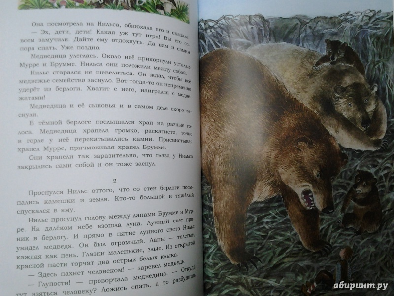 Иллюстрация 24 из 36 для Чудесное путешествие Нильса с дикими гусями - Сельма Лагерлеф | Лабиринт - книги. Источник: Olga