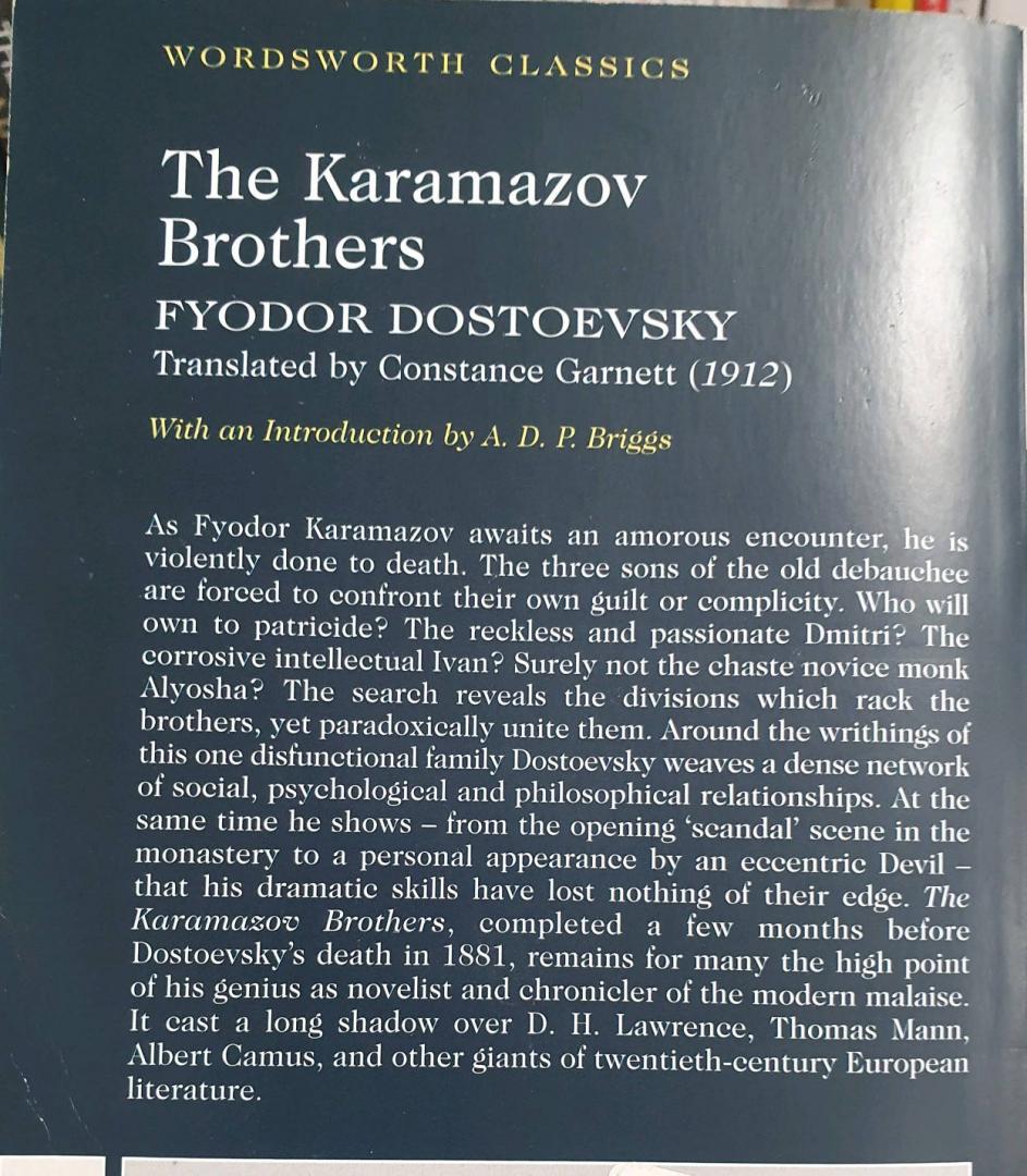 Иллюстрация 18 из 20 для The Karamazov Brothers - Fyodor Dostoevsky | Лабиринт - книги. Источник: Анжелика