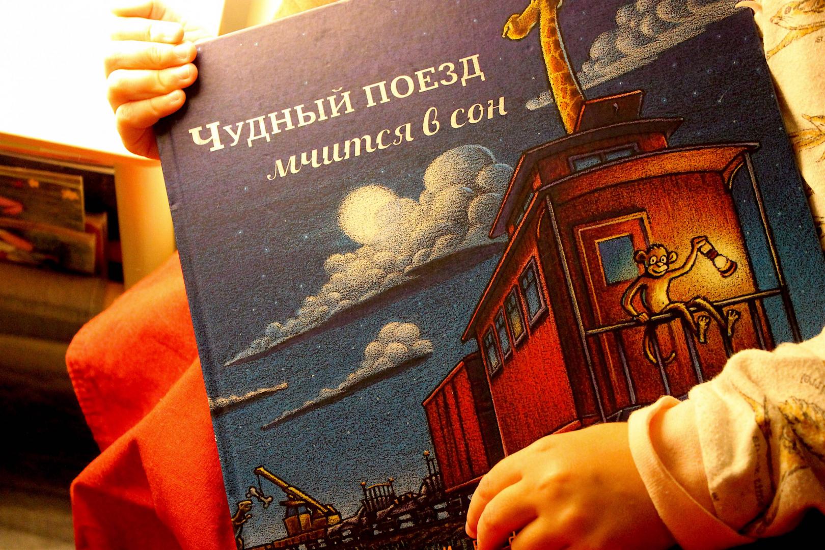 Иллюстрация 84 из 95 для Чудный поезд мчится в сон - Ринкер Даски | Лабиринт - книги. Источник: Fomina  Ksenia