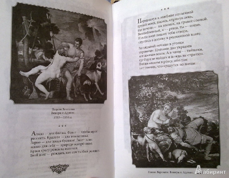 Иллюстрация 40 из 40 для Сонеты. Поэмы. Комедии - Уильям Шекспир | Лабиринт - книги. Источник: soleiSPb