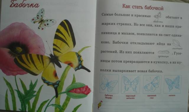 Иллюстрация 6 из 9 для Птицы и насекомые - Александрова, Дроздова | Лабиринт - книги. Источник: Настёна