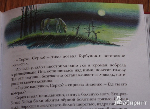 Иллюстрация 22 из 29 для Сын полка - Валентин Катаев | Лабиринт - книги. Источник: КНИЖНОЕ ДЕТСТВО