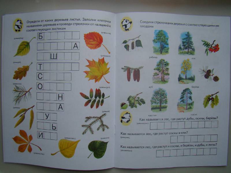 Иллюстрация 7 из 15 для Тесты. Окружающий Мир детям 6-7 лет | Лабиринт - книги. Источник: Leser