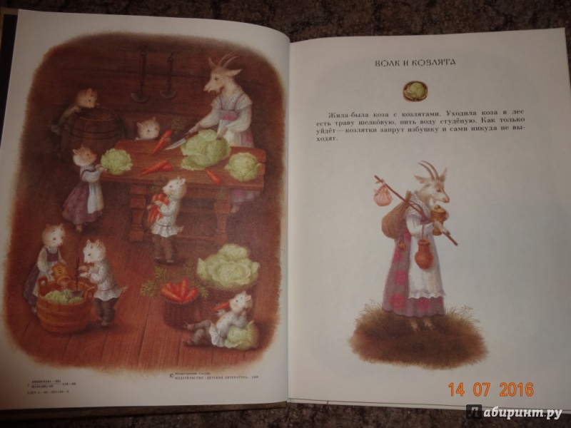 Иллюстрация 32 из 78 для Снегурушка и лиса | Лабиринт - книги. Источник: Прокопец  Наталья Валерьевна