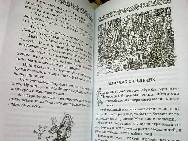 Иллюстрация 16 из 17 для Французские сказки | Лабиринт - книги. Источник: foxi-lisenok