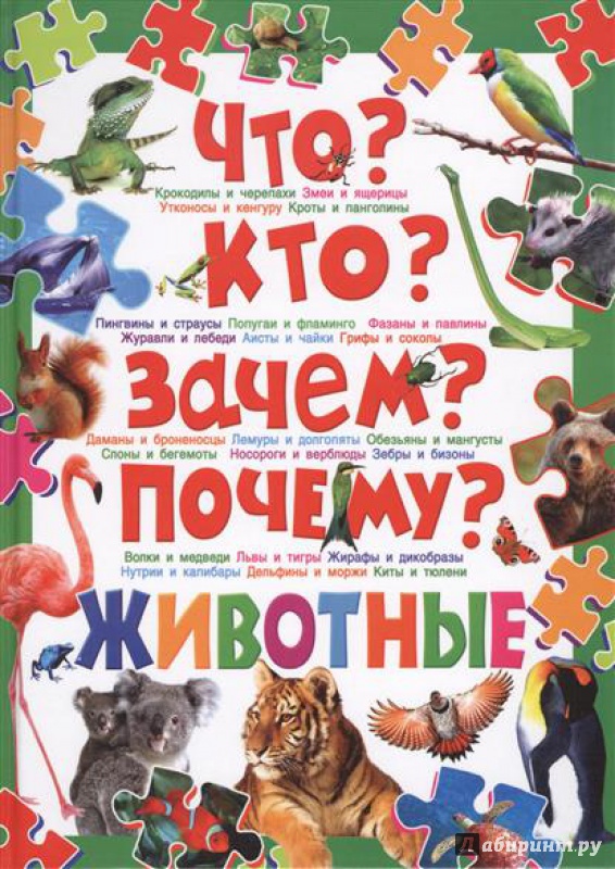 Иллюстрация 7 из 46 для Что? Кто? Зачем? Почему? Животные - Рублев, Скиба | Лабиринт - книги. Источник: Akella Akella