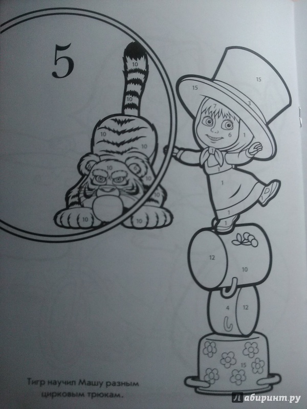 Иллюстрация 10 из 15 для Маша и Медведь. Раскрась по номерам (№1618) | Лабиринт - книги. Источник: Потапова Анна
