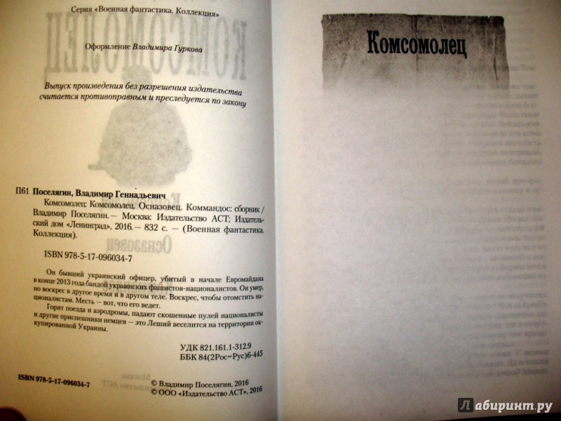 Иллюстрация 3 из 10 для Комсомолец - Владимир Поселягин | Лабиринт - книги. Источник: Kassavetes