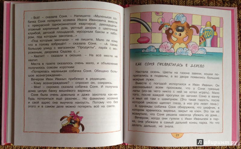 Иллюстрация 15 из 21 для Умная собачка Соня - Андрей Усачев | Лабиринт - книги. Источник: sutulina