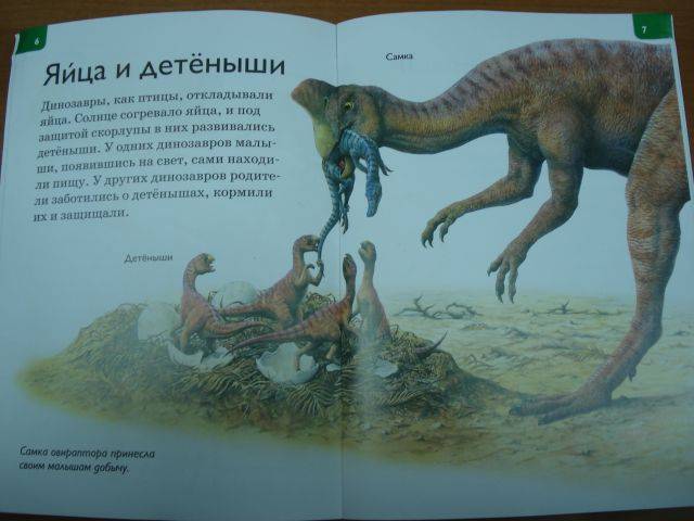 Иллюстрация 30 из 31 для Динозавры - Роберт Коуп | Лабиринт - книги. Источник: rizik