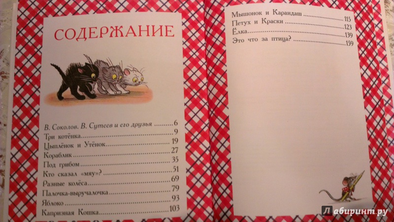 Иллюстрация 26 из 33 для Сказки и картинки - Владимир Сутеев | Лабиринт - книги. Источник: Пепеляева  Олеся