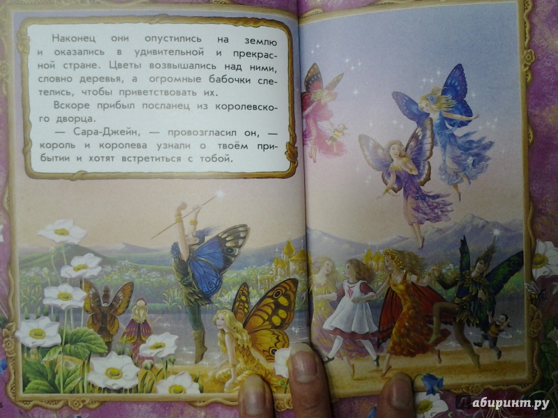 Иллюстрация 21 из 26 для Сказки заколдованного леса - Ширли Барбер | Лабиринт - книги. Источник: Olga