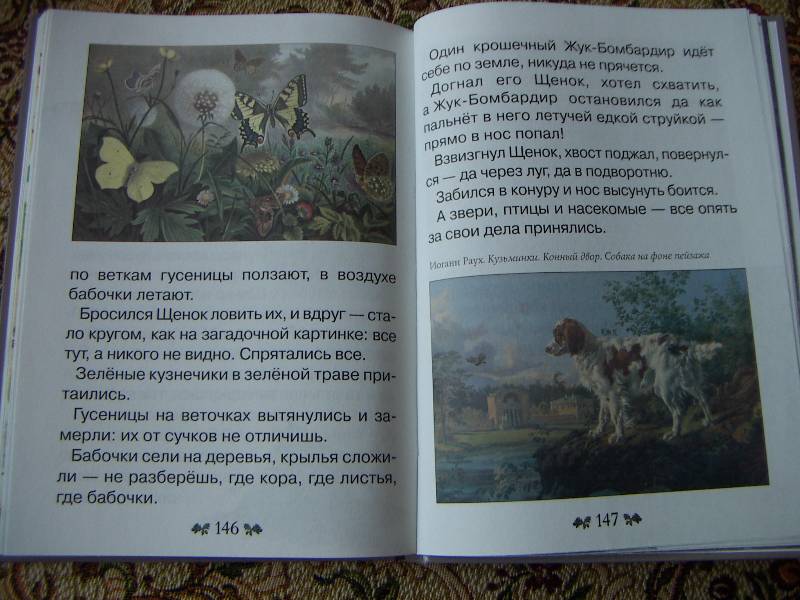 Иллюстрация 40 из 40 для Сказки и рассказы о животных - Виталий Бианки | Лабиринт - книги. Источник: Алонсо Кихано