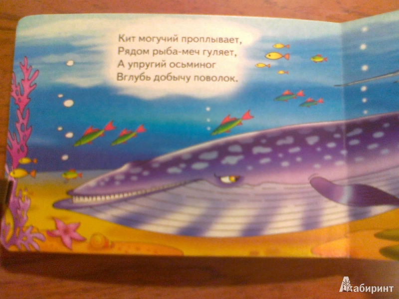 Иллюстрация 4 из 12 для Книжка-картонка: Подводное путешествие - Владимир Нижего | Лабиринт - книги. Источник: Kirenzia