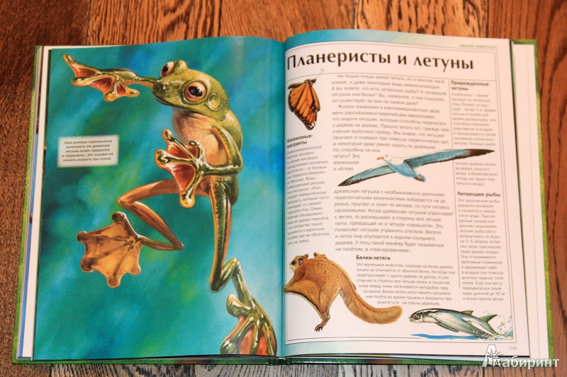 Иллюстрация 10 из 54 для Мир удивительных животных - Стоунхауз, Бертрам | Лабиринт - книги. Источник: St  Алла