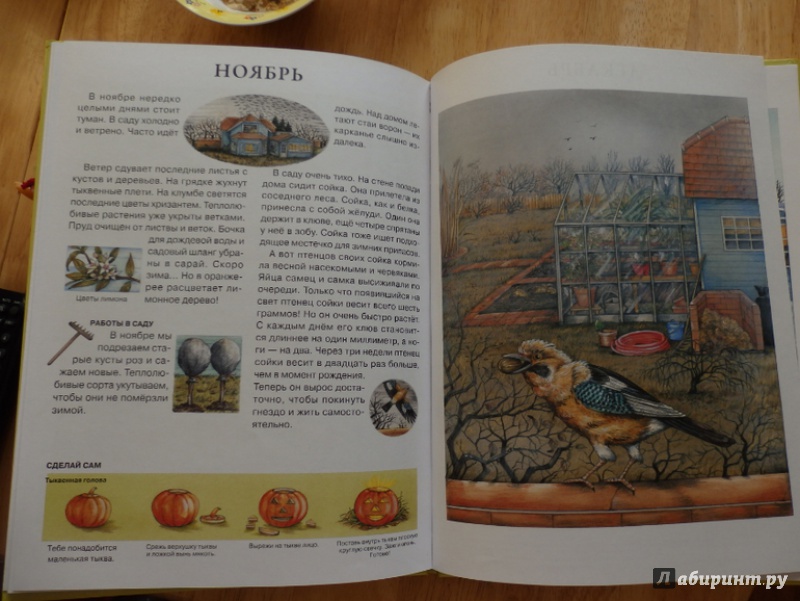 Иллюстрация 15 из 43 для Год в саду - Сюзанна Риха | Лабиринт - книги. Источник: Чемоданова  Марина
