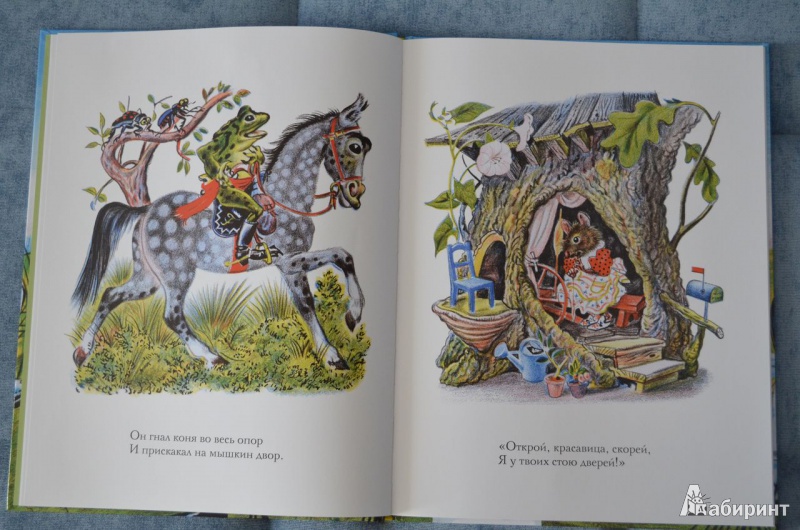 Иллюстрация 10 из 46 для Лягушонок женится - Джон Лангстафф | Лабиринт - книги. Источник: Zifa82
