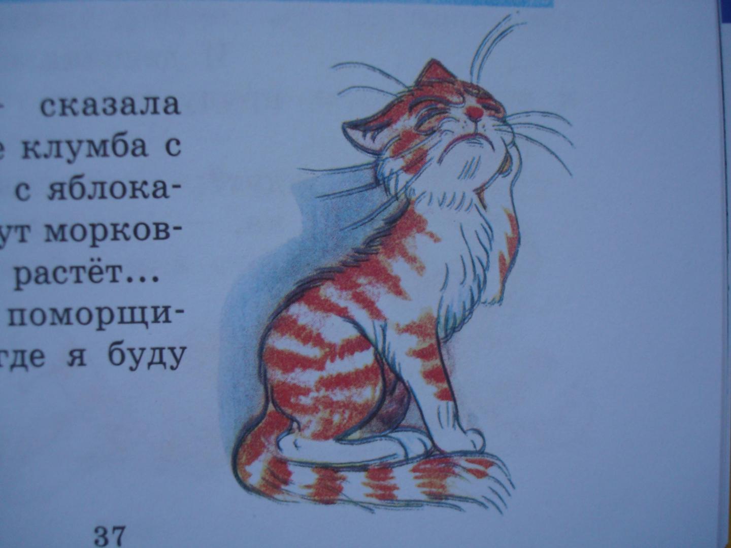 Иллюстрация 102 из 165 для Сказки и картинки - Владимир Сутеев | Лабиринт - книги. Источник: Без-Ника