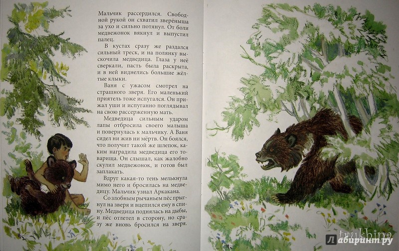 Иллюстрация 29 из 63 для Бойё - Евгений Фрейберг | Лабиринт - книги. Источник: Трухина Ирина