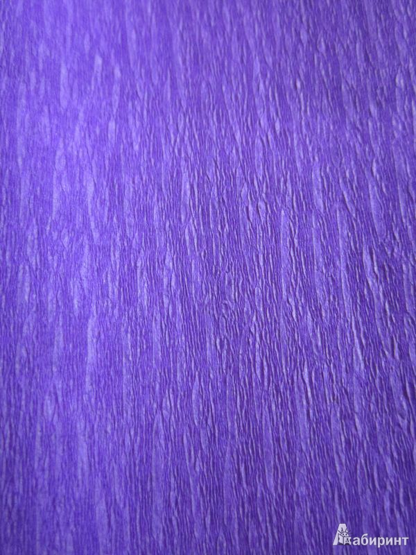 Иллюстрация 3 из 4 для Бумага цветная креповая, фиолетовая (2-060) | Лабиринт - канцтовы. Источник: Мeдвeдицa