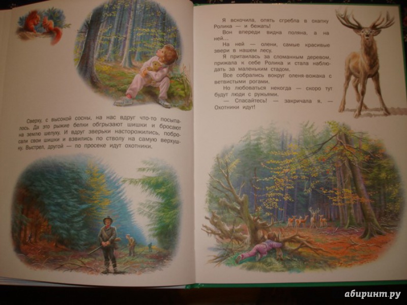 Иллюстрация 13 из 45 для Маруся - подружка всех зверят. В лесу. В деревне - Делаэ, Марлье | Лабиринт - книги. Источник: Сорокина  Лариса