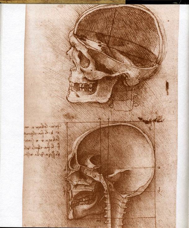 Иллюстрация 10 из 13 для Леонардо да Винчи. Шедевры графики - Винчи Да | Лабиринт - книги. Источник: * Ольга *