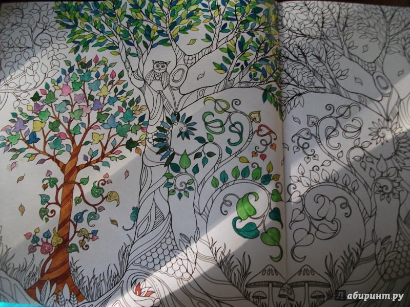 Иллюстрация 54 из 68 для Зачарованный лес - Джоанна Бэсфорд | Лабиринт - книги. Источник: Melissa073