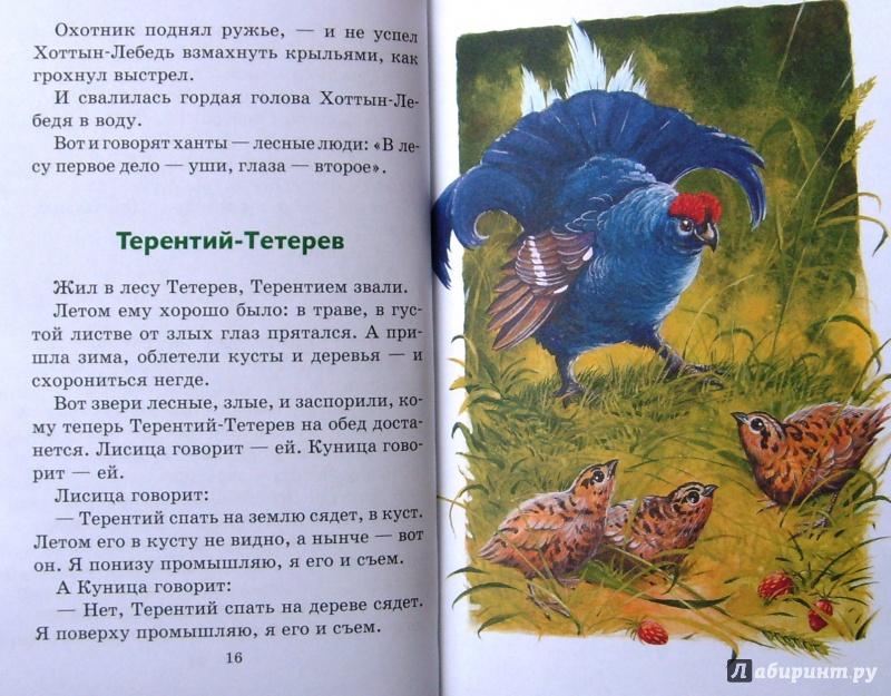 Иллюстрация 12 из 29 для Синичкин календарь - Виталий Бианки | Лабиринт - книги. Источник: Соловьев  Владимир