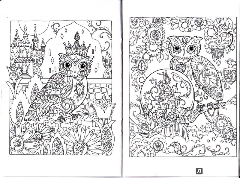 Иллюстрация 19 из 32 для Совушки. Блокнот-раскраска | Лабиринт - книги. Источник: Sternberg13