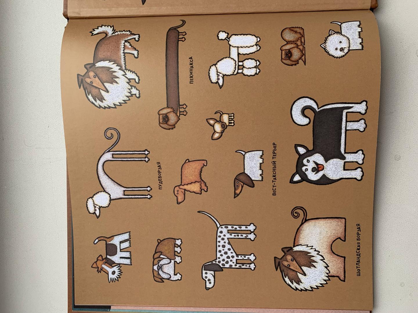 Иллюстрация 44 из 58 для Собачьи "почему" - Лила Прап | Лабиринт - книги. Источник: TatFil