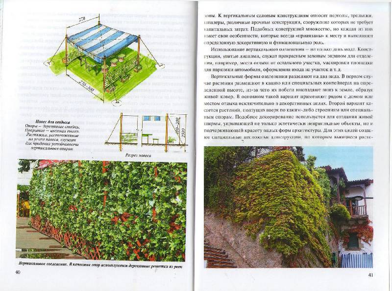 Иллюстрация 34 из 37 для Планировка и обустройство садового участка - Страшнов, Страшнова | Лабиринт - книги. Источник: zingara