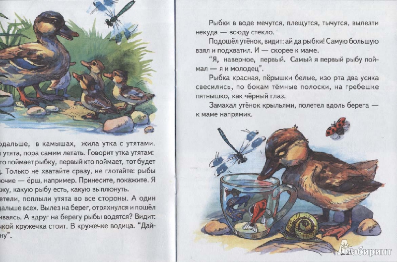 Иллюстрация 3 из 5 для Кружечка под елочкой - Борис Житков | Лабиринт - книги. Источник: Niroka