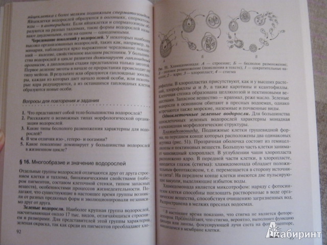 Иллюстрация 8 из 13 для Биология растений, грибов, лишайников. 10-11 классы - Агафонова, Сивоглазов | Лабиринт - книги. Источник: Евгения39