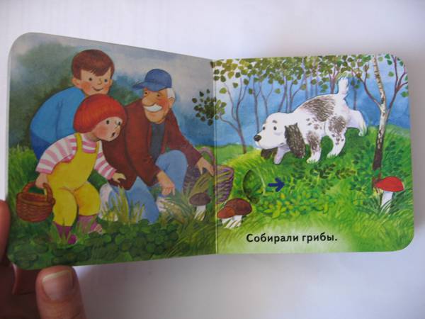 Иллюстрация 3 из 13 для Прогулка в лесу - Ольга Мяэотс | Лабиринт - книги. Источник: Репина  Наталья
