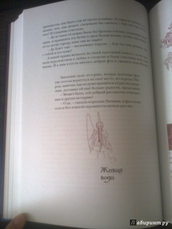 Иллюстрация 61 из 63 для Волшебный край короля Оберона | Лабиринт - книги. Источник: [Morgana Schatten]