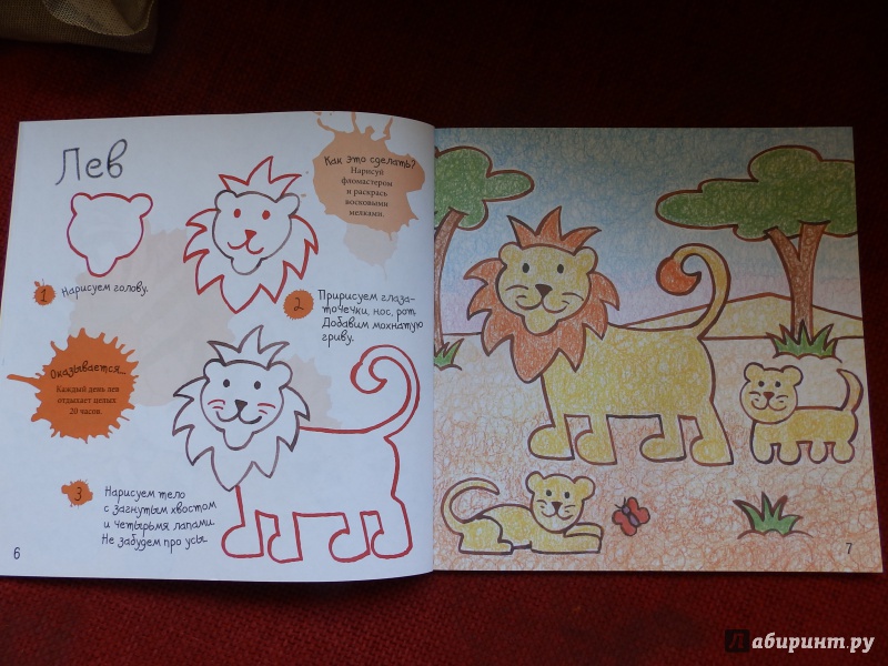 Иллюстрация 5 из 36 для Как нарисовать зебру и других животных - Марк Берджин | Лабиринт - книги. Источник: taxik