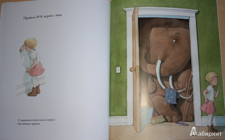 Иллюстрация 22 из 22 для Как воспитать домашнего мамонта - Квентин Гребан | Лабиринт - книги. Источник: КНИЖНОЕ ДЕТСТВО