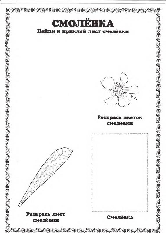 Иллюстрация 14 из 17 для Гербарий: Лесные цветы и травы | Лабиринт - игрушки. Источник: Кошки-мышки