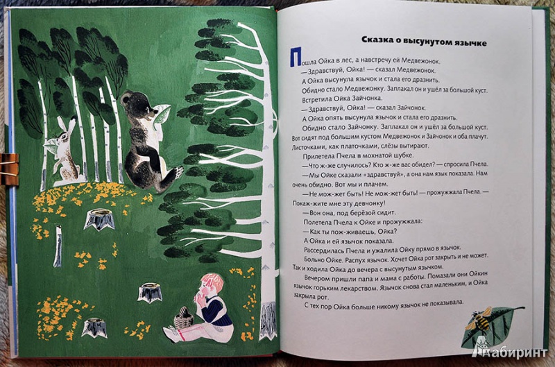 Иллюстрация 41 из 55 для Маша и Ойка - Софья Прокофьева | Лабиринт - книги. Источник: Раскова  Юлия