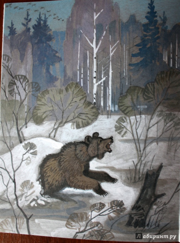 Иллюстрация 26 из 45 для Дед Мороз и Весна - Виталий Бианки | Лабиринт - книги. Источник: E.B.