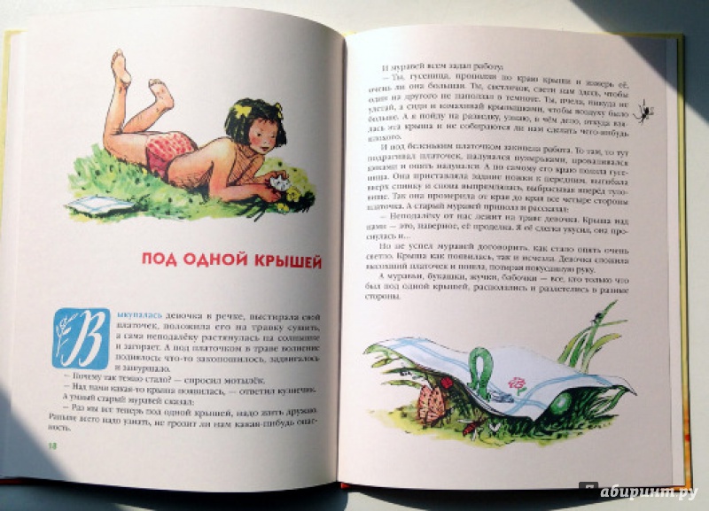 Иллюстрация 10 из 49 для Клетчатый гусь - Рахиль Баумволь | Лабиринт - книги. Источник: Olga