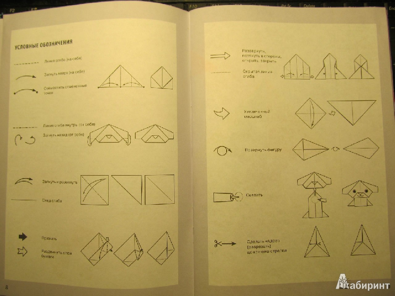 Иллюстрация 13 из 13 для Первые оригами - Миюки Лаца | Лабиринт - книги. Источник: Голубева  Екатерина
