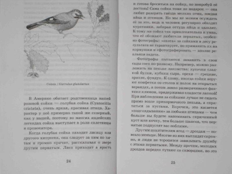 Иллюстрация 21 из 39 для О людях и птицах - Ольга Кувыкина | Лабиринт - книги. Источник: Трухина Ирина