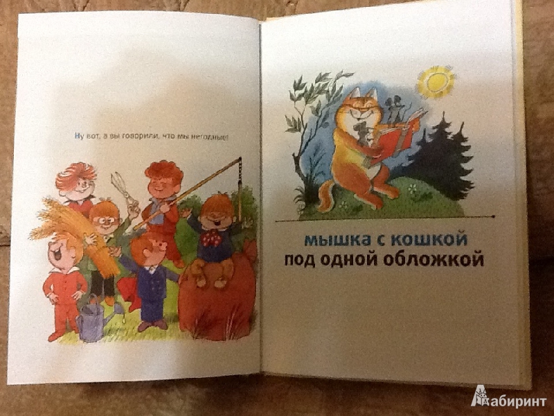Иллюстрация 14 из 33 для Мышка и кошка под одной обложкой - Виктор Чижиков | Лабиринт - книги. Источник: M.alinka