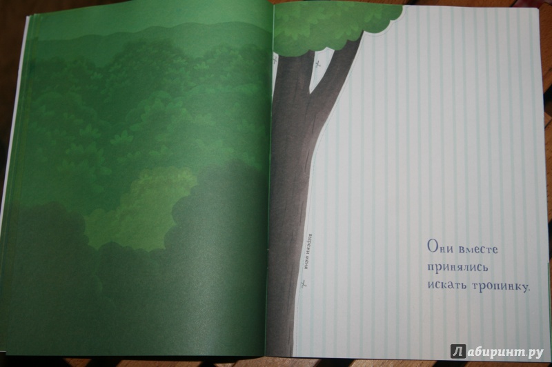 Иллюстрация 7 из 30 для Сказочный лес | Лабиринт - книги. Источник: Кабанова  Ксения Викторовна