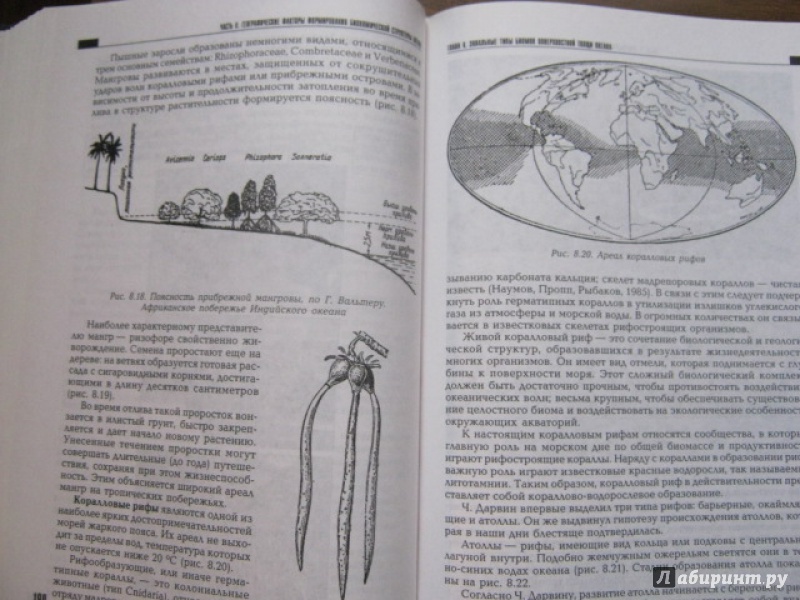 Иллюстрация 11 из 28 для Биогеография океана. Учебник - Кирилл Петров | Лабиринт - книги. Источник: Евгения39